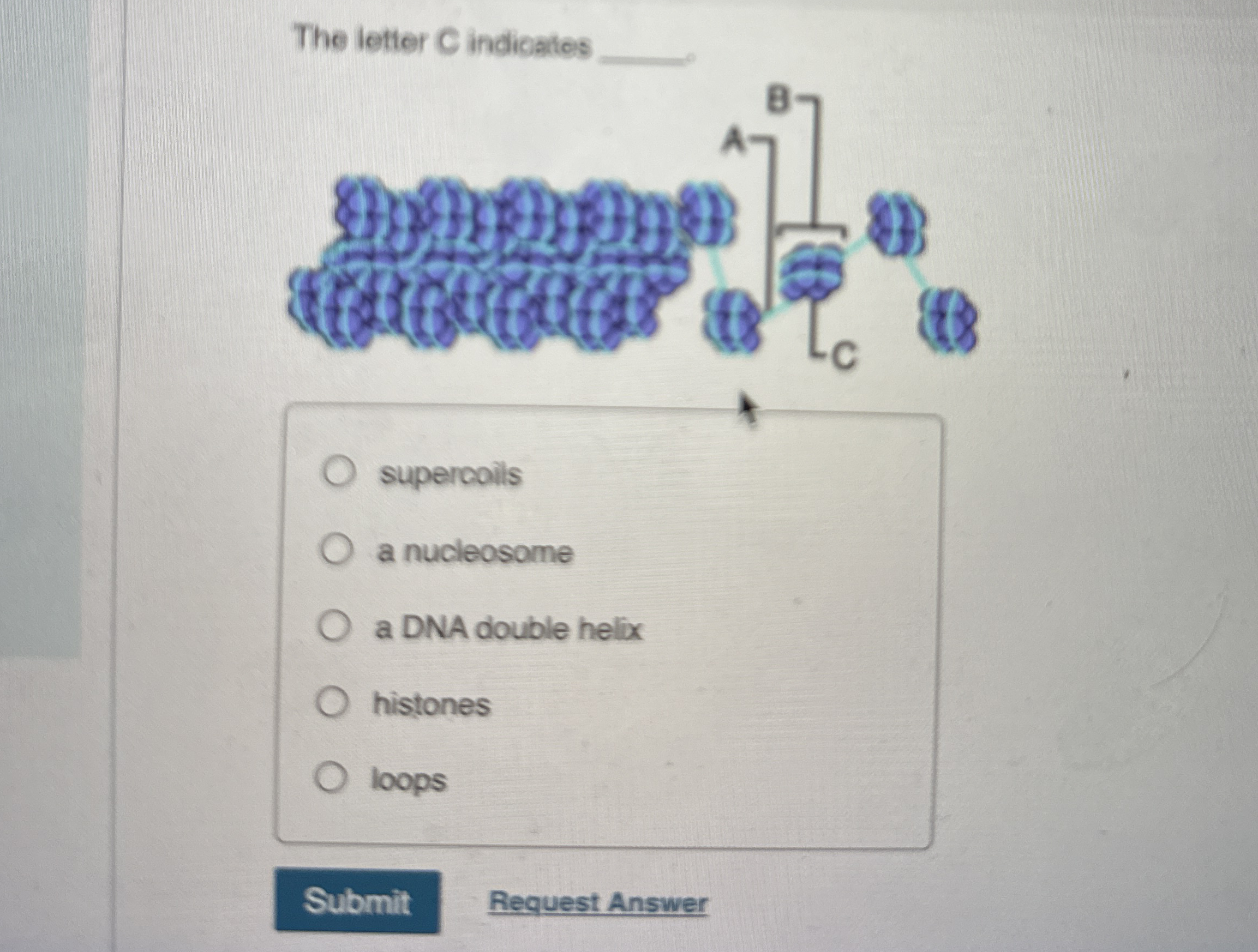 The letter C indicates q , supercoils a