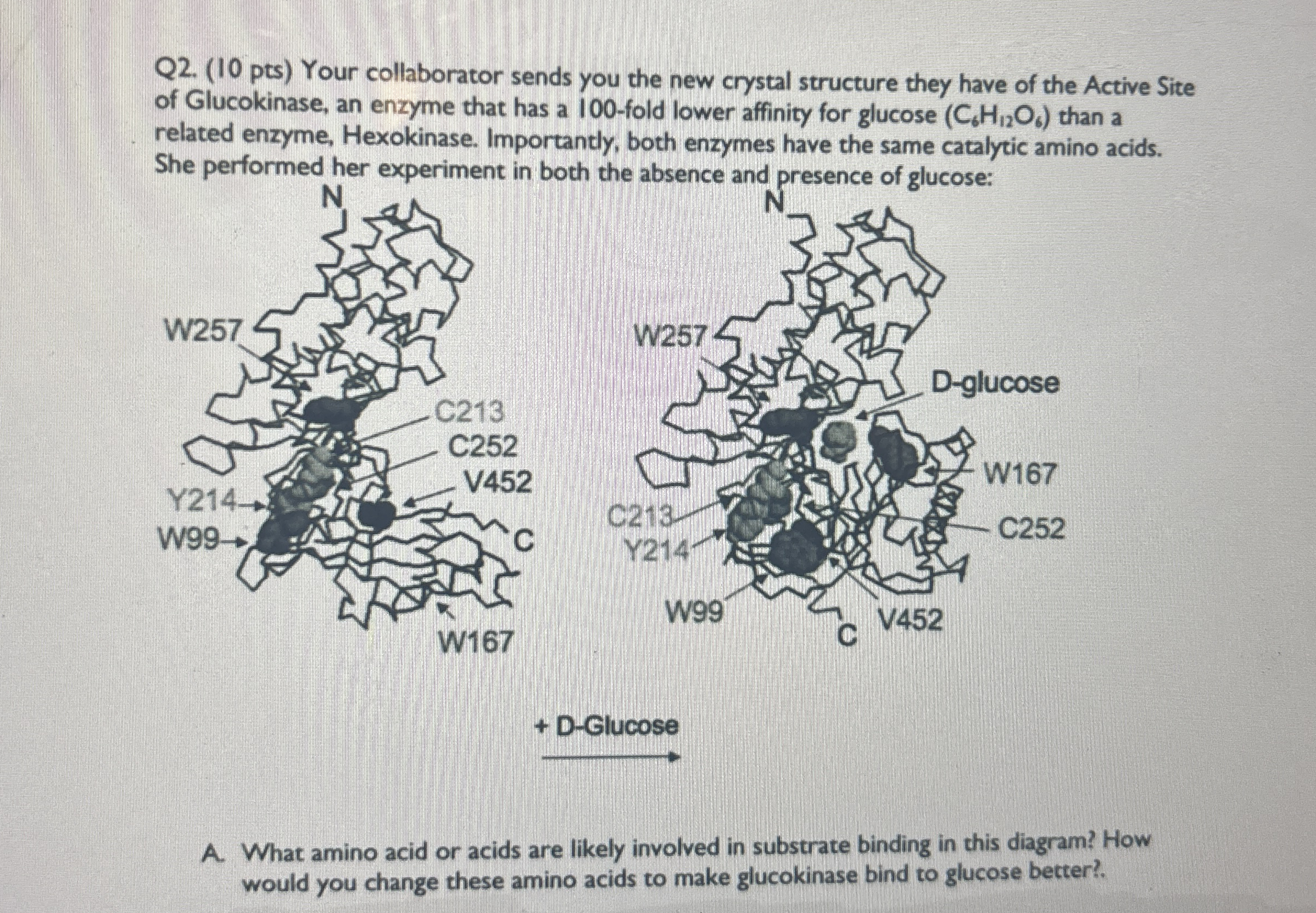 Q 2 . ( 1 0 pts ) Your collaborator sends you the