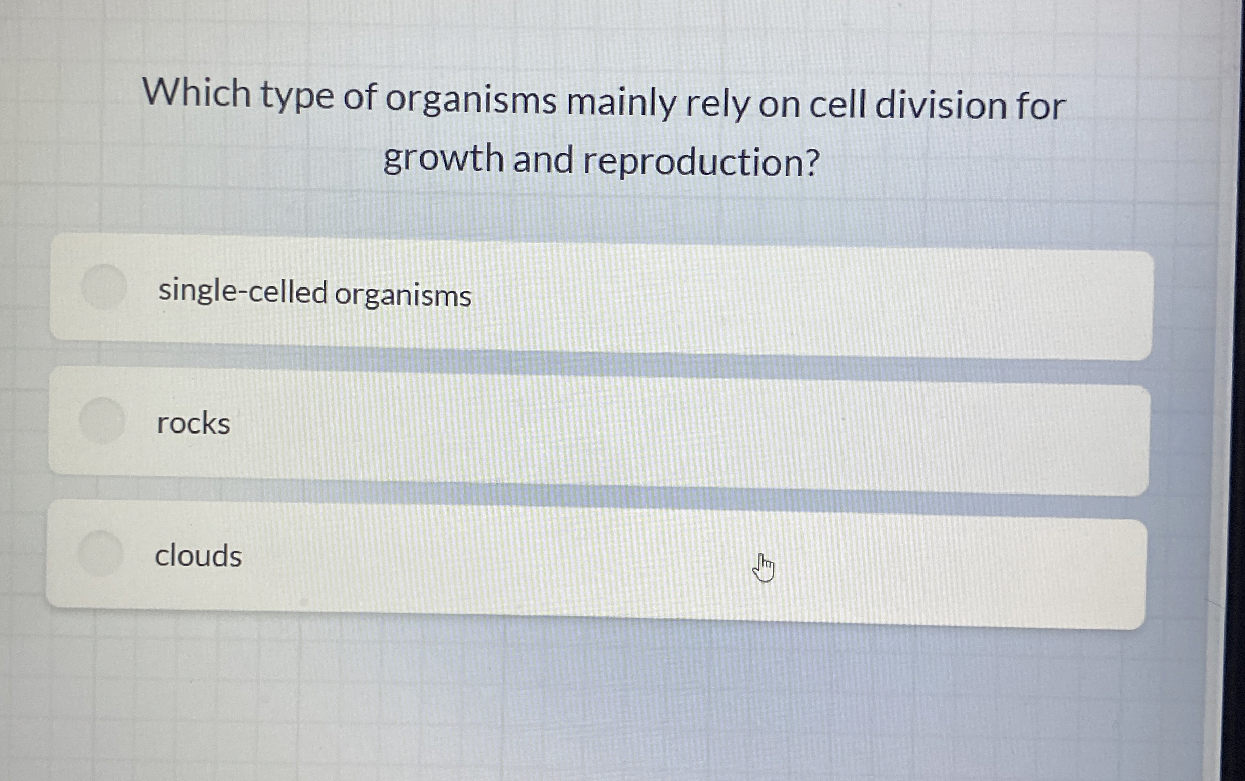 Which type of organisms mainly rely on cell