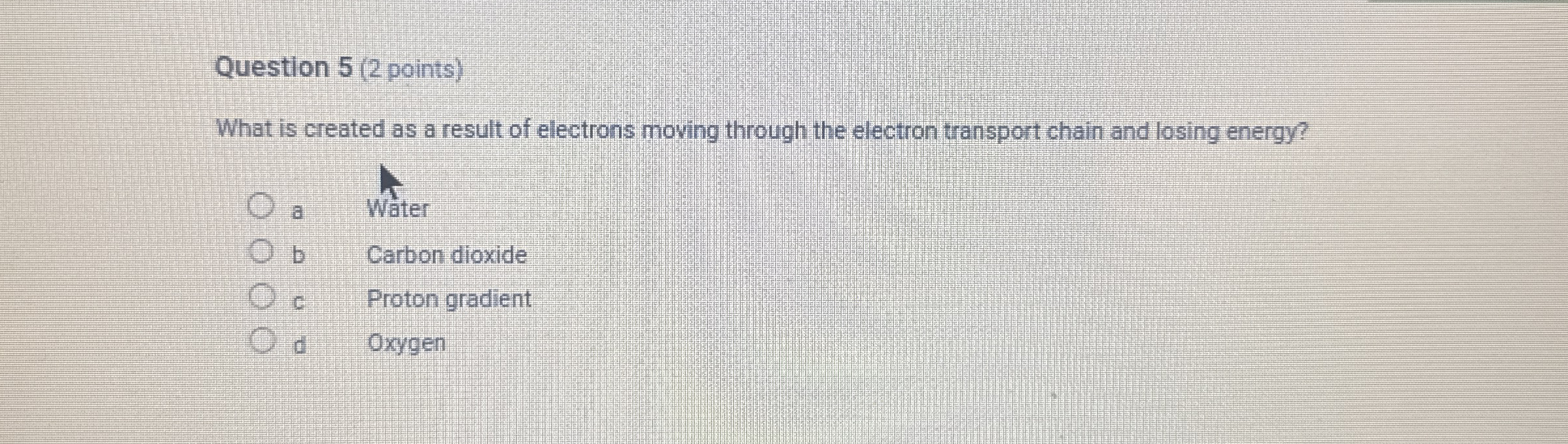 Question 5 ( 2 points ) What is created as a