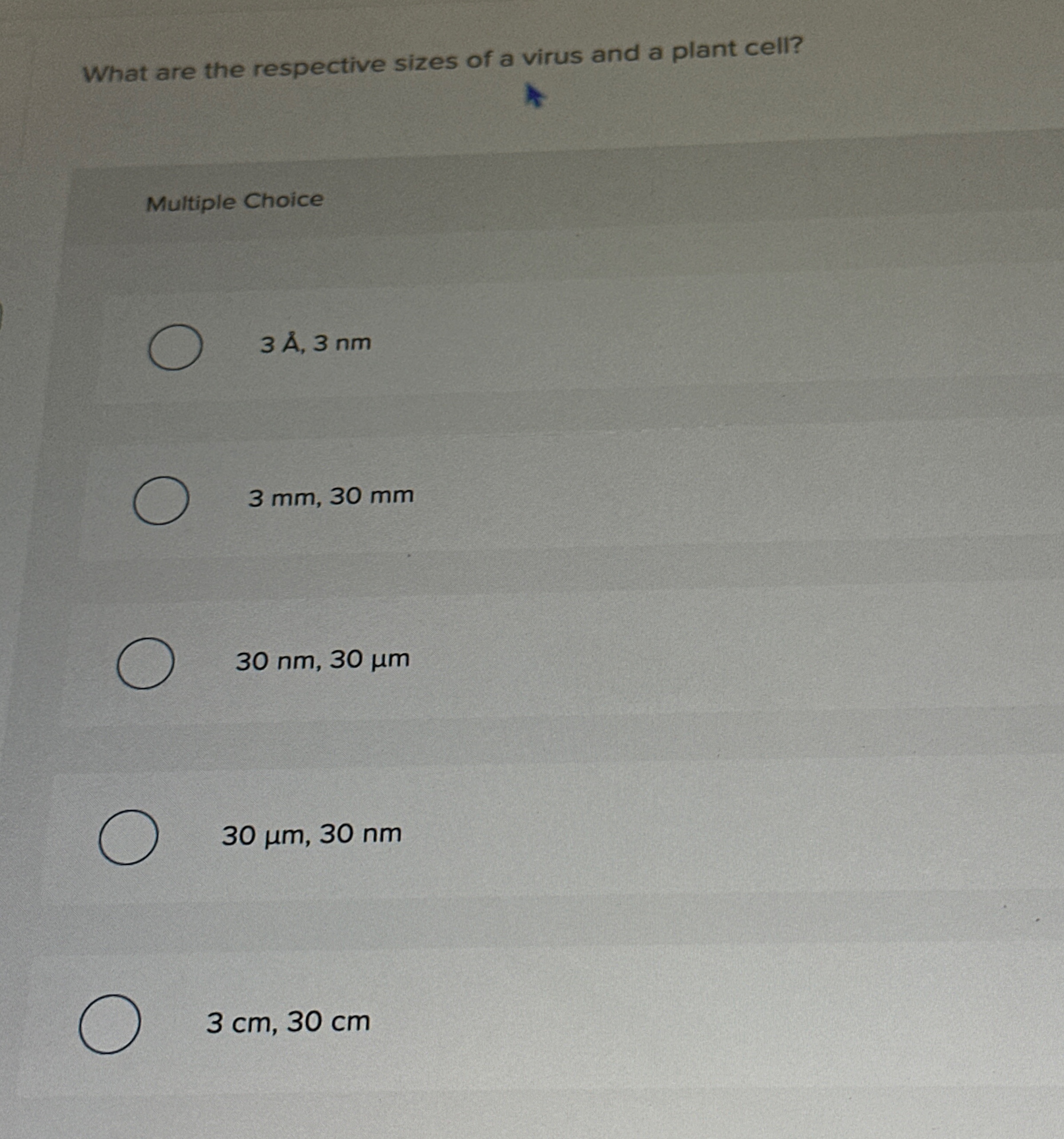 What are the respective sizes of a virus and a