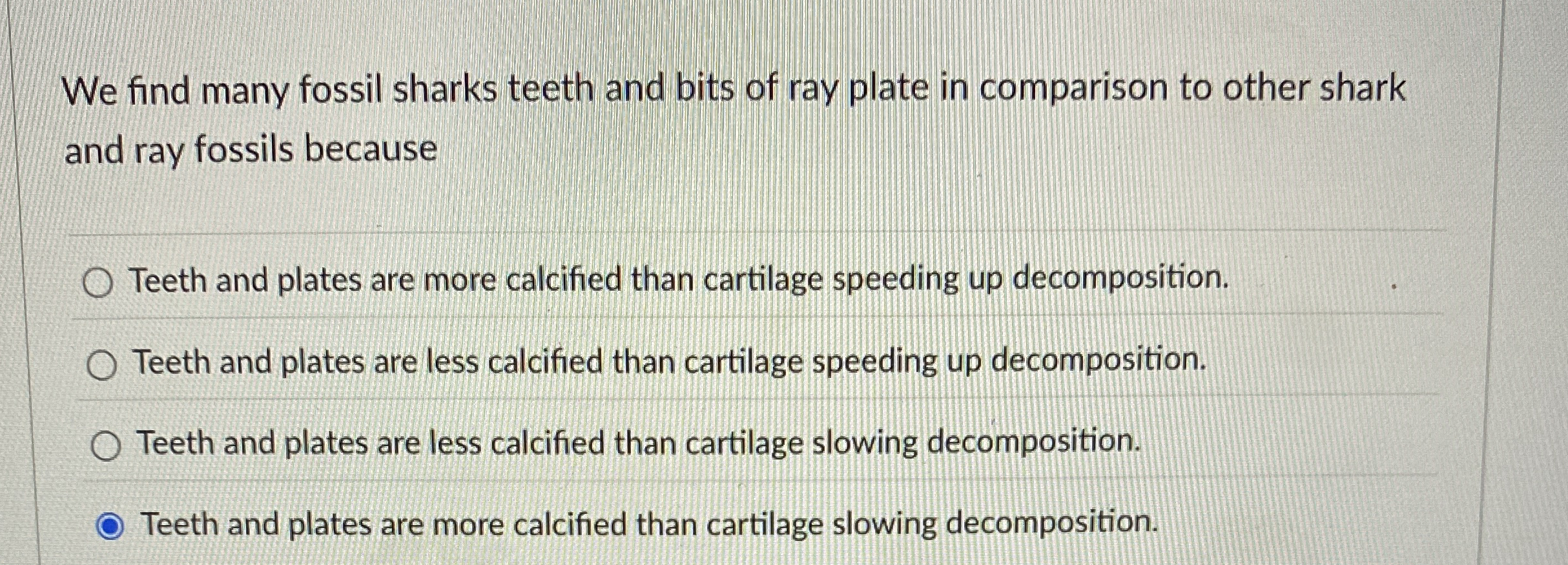 We find many fossil sharks teeth and bits of ray