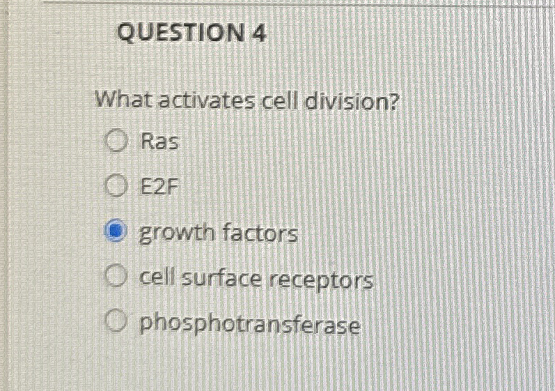 QUESTION 4 What activates cell division? Ras E 2