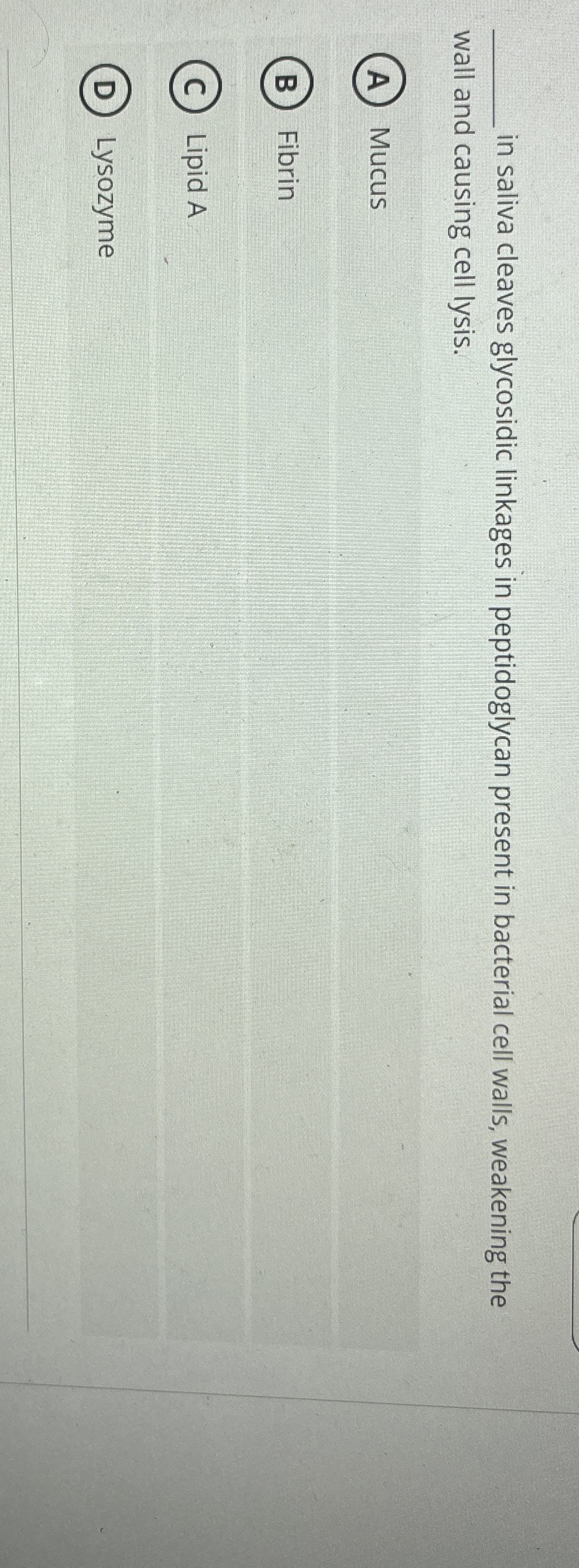 q , in saliva cleaves glycosidic linkages in