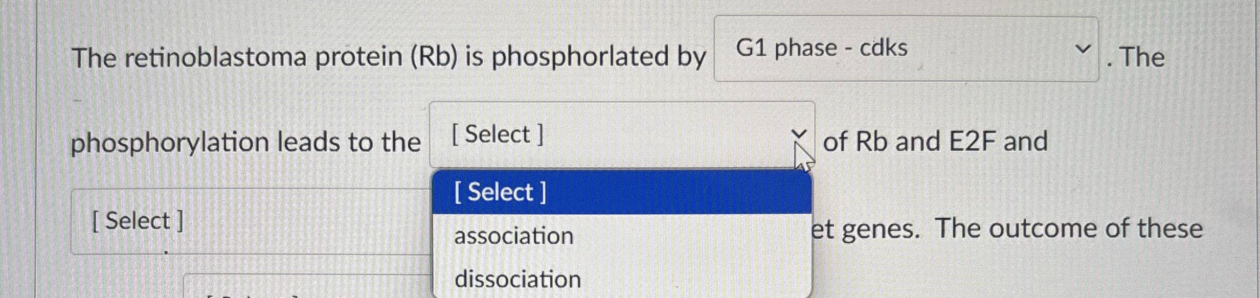 The retinoblastoma protein ( R b ) is