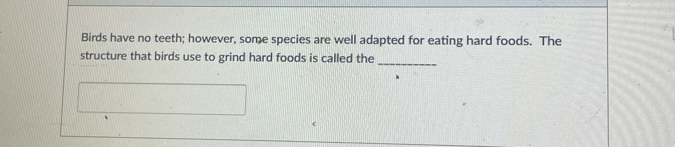 Birds have no teeth; however, some species are