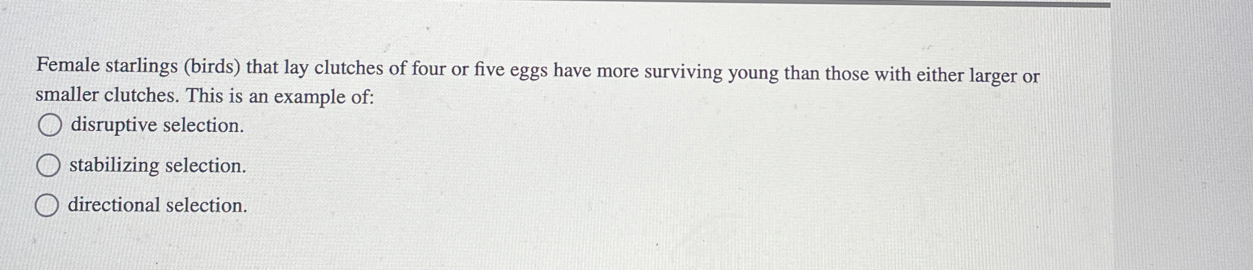 Female starlings ( birds ) that lay clutches of