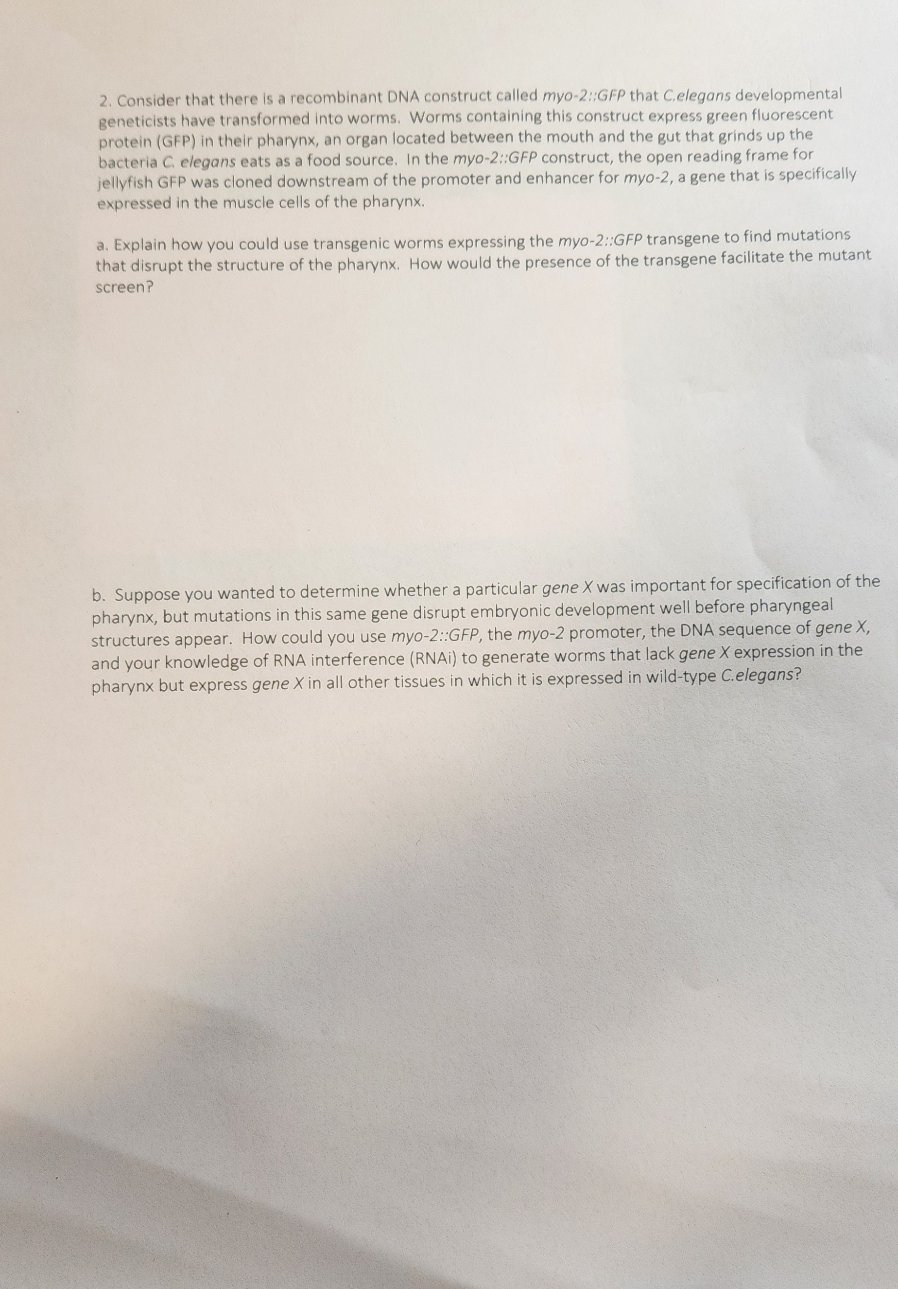 Consider that there is a recombinant DNA