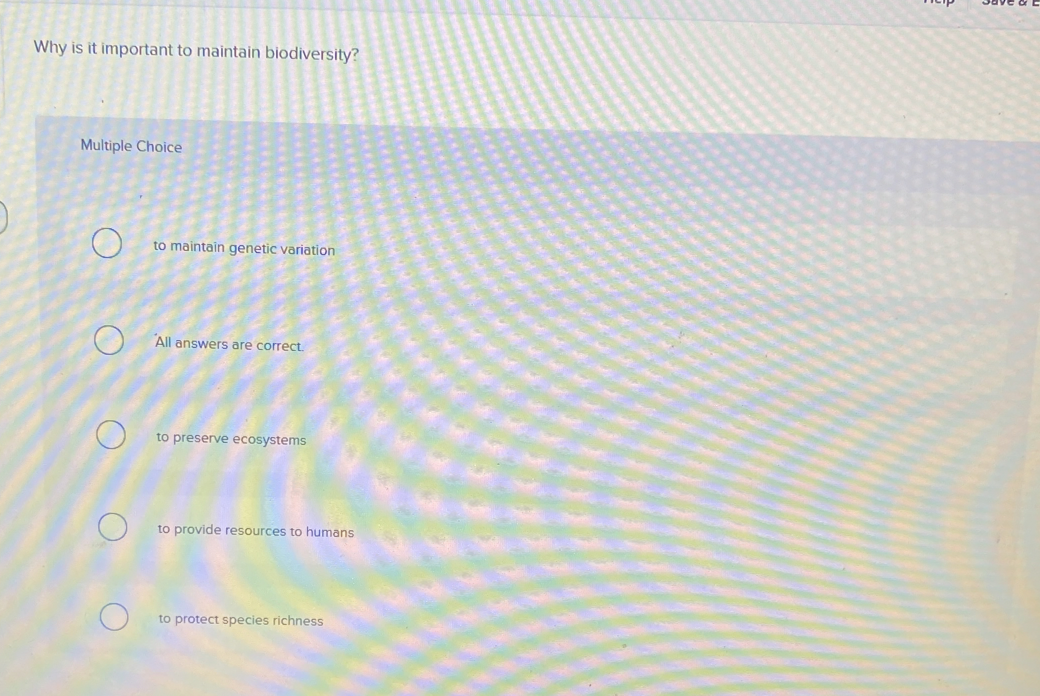 Why is it important to maintain biodiversity?