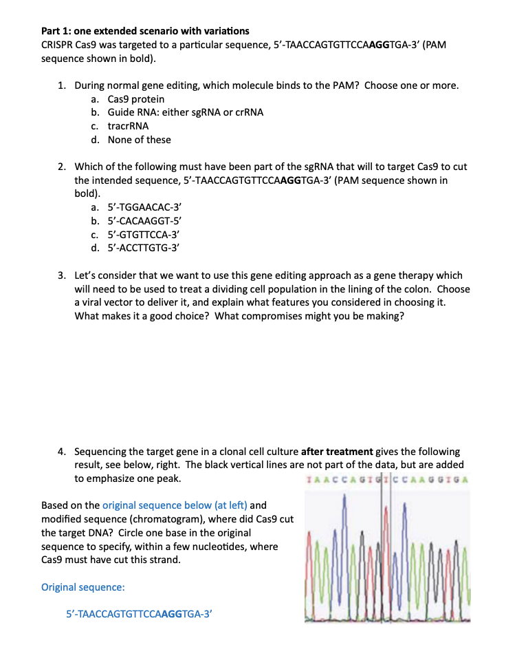 Part 1 : one extended scenario with variations