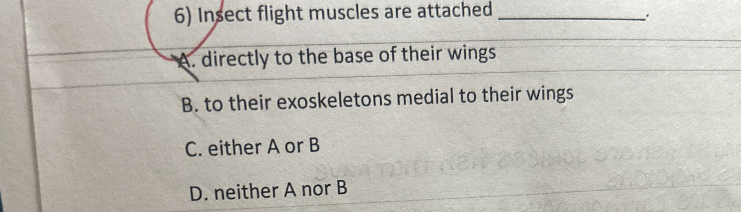 Insect flight muscles are attached q , A .