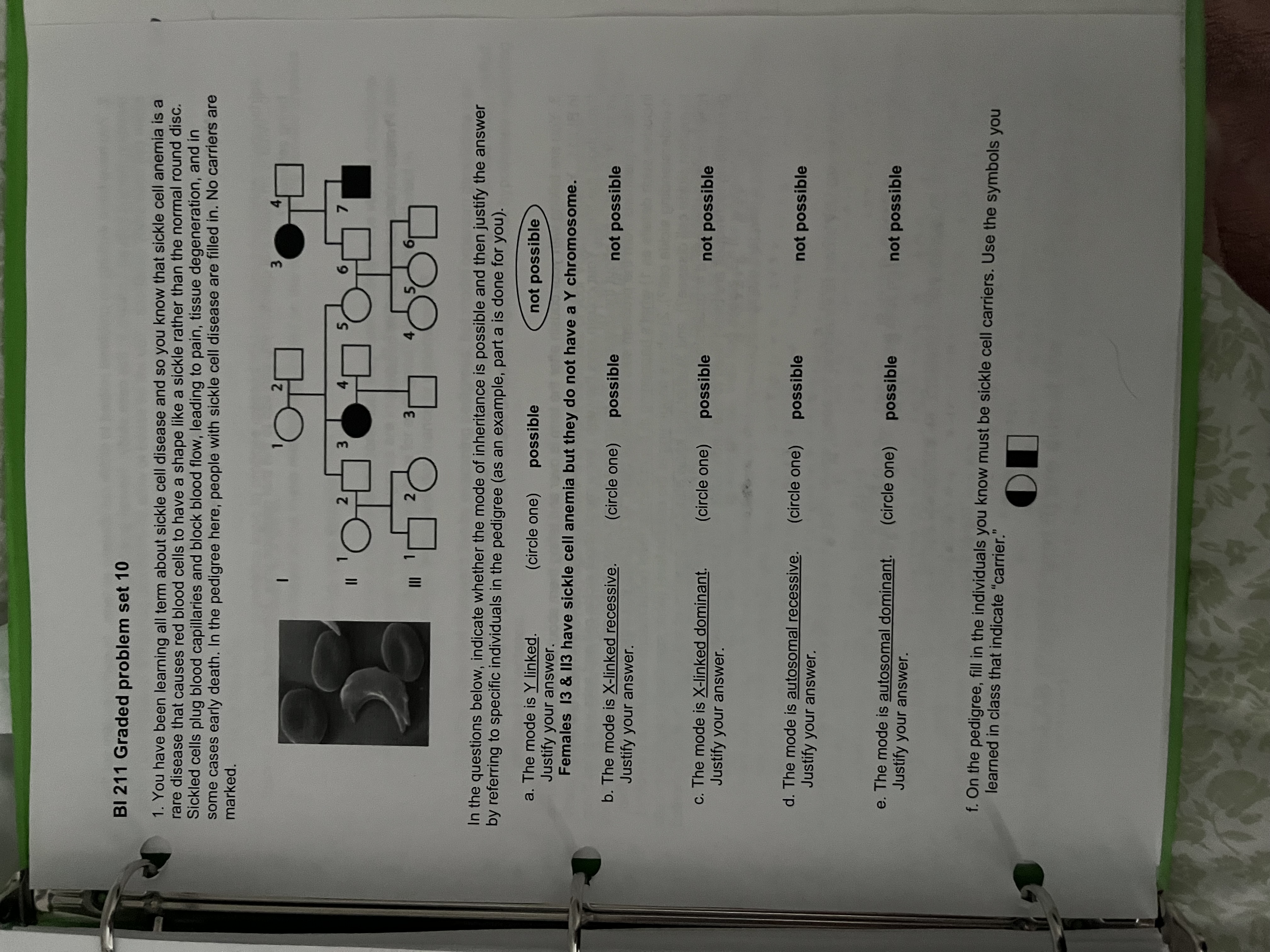 BI 2 1 1 Graded problem set 1 0 1 . You have been