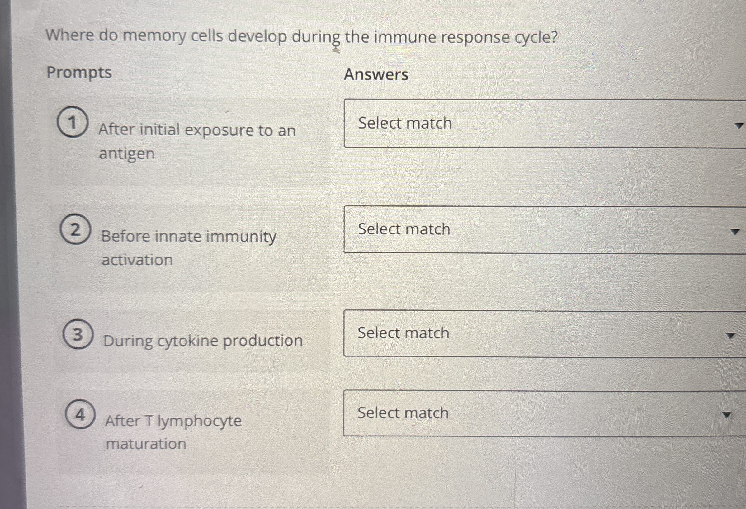 Where do memory cells develop during the immune