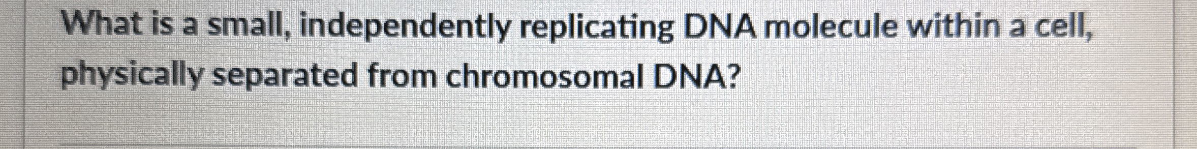 What is a small, independently replicating DNA