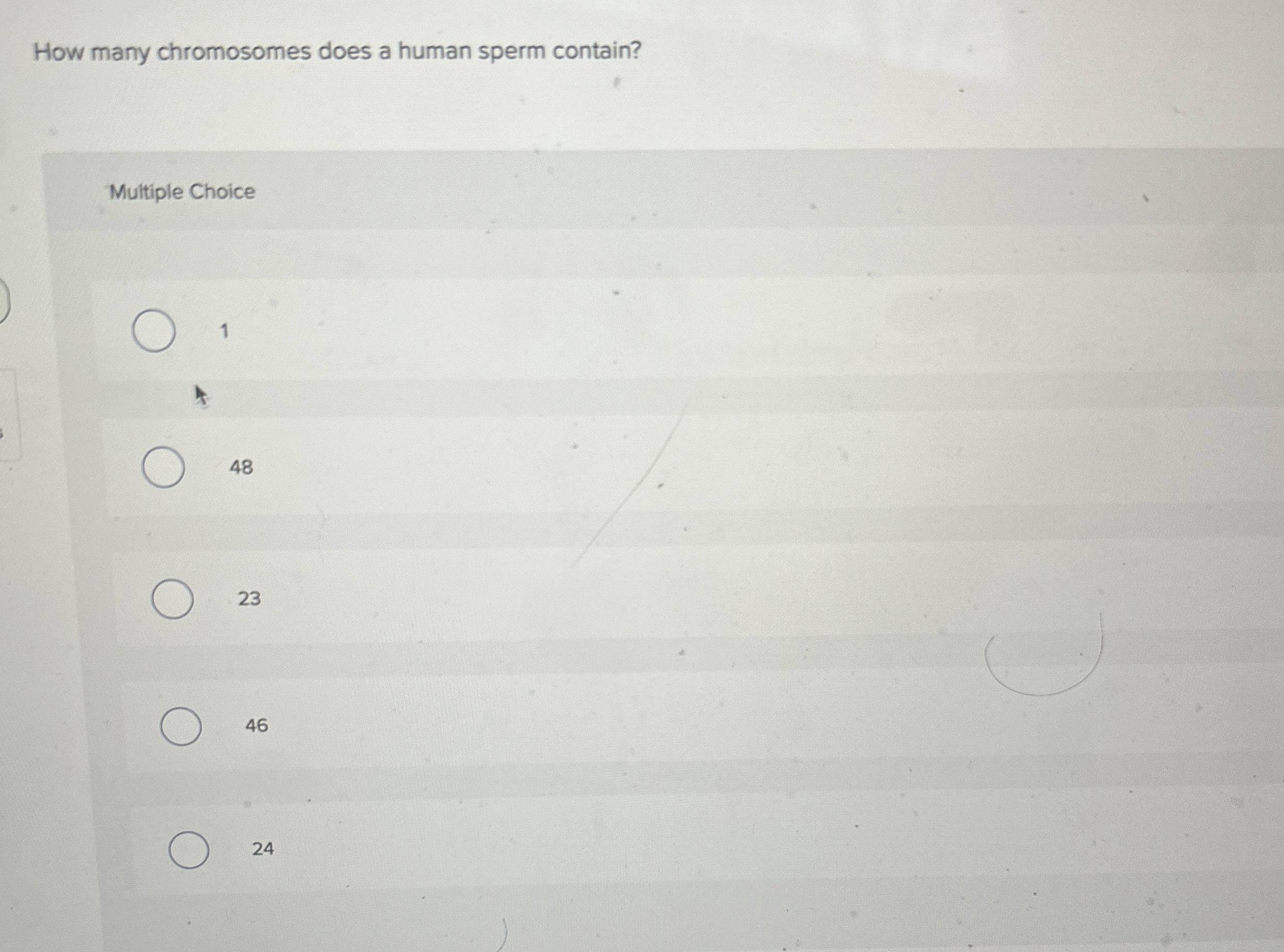 How many chromosomes does a human sperm contain?