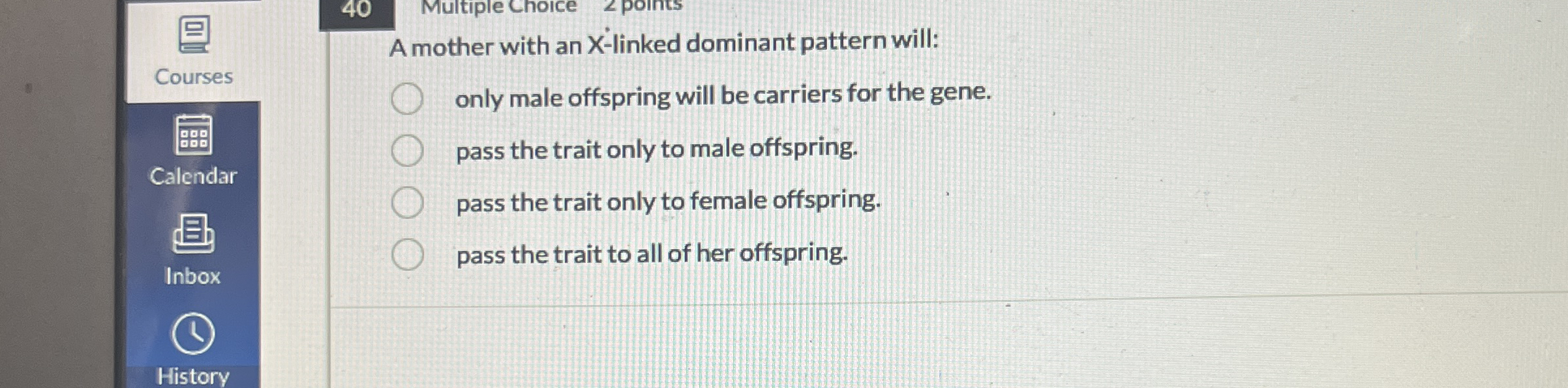 4 0 Multiple Choice 2 points Courses A mother