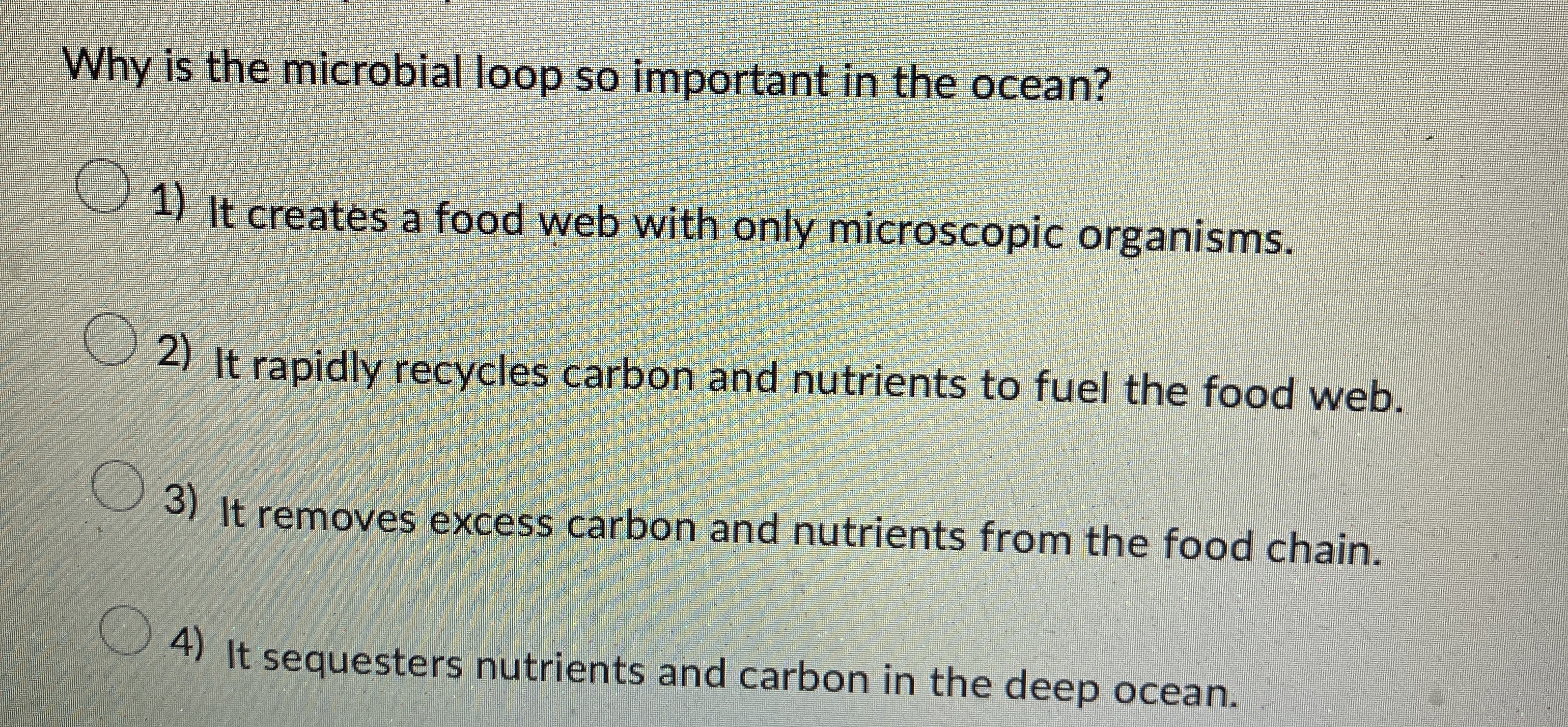 Why is the microbial loop so important in the