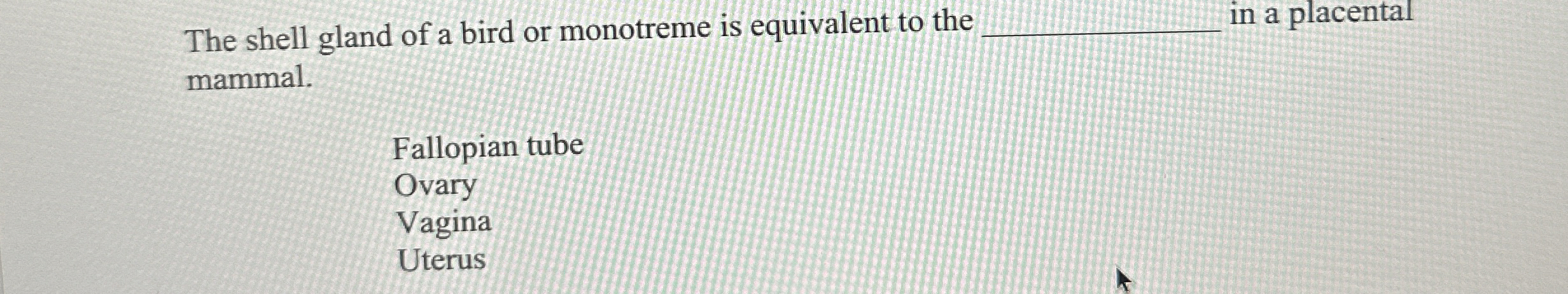 The shell gland of a bird or monotreme is