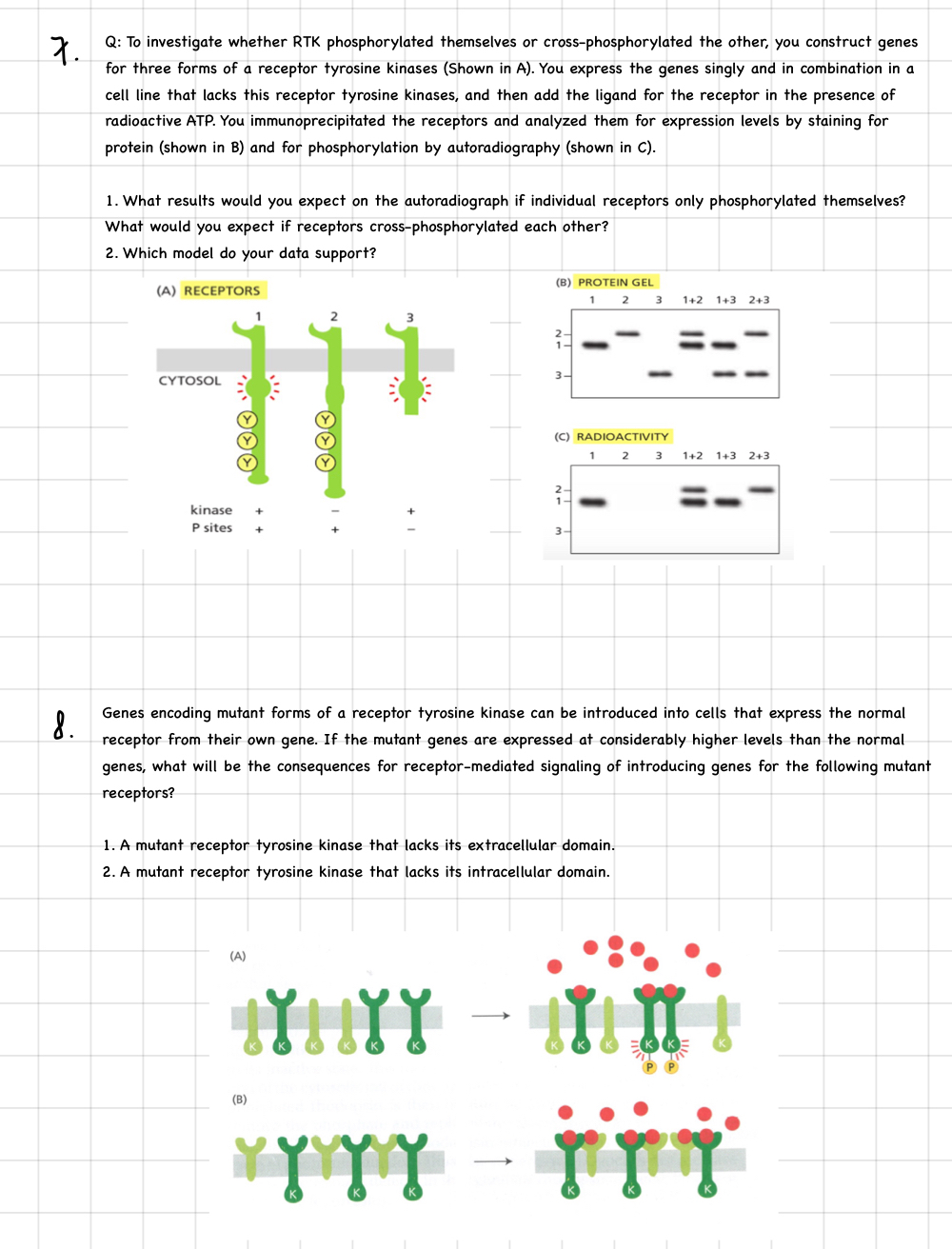 7 , 8 . Answer it with explanation