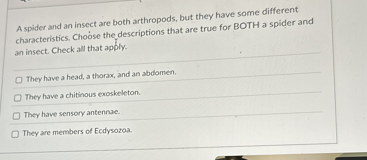 A spider and an insect are both arthropods, but