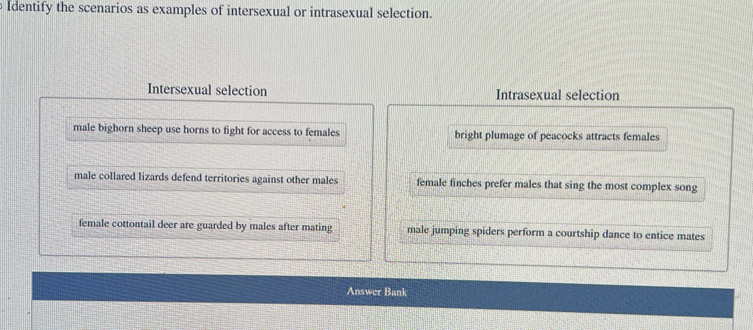 Identify the scenarios as examples of intersexual