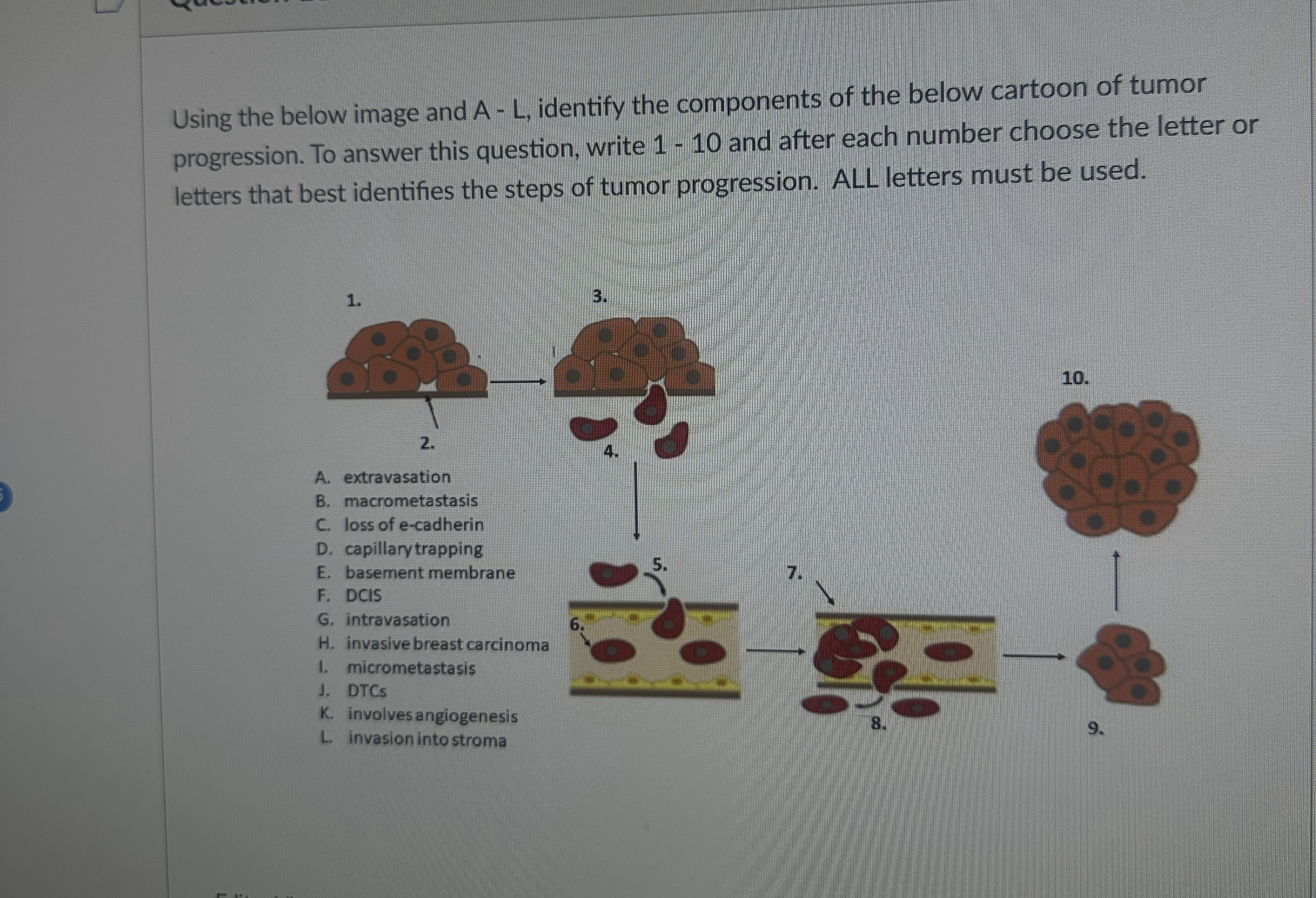  Using the below image and A - L, identify the components