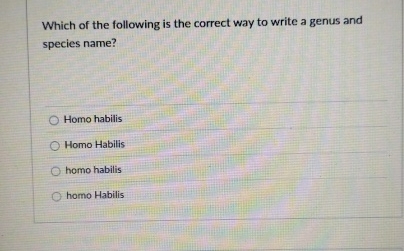 Which of the following is the correct way to