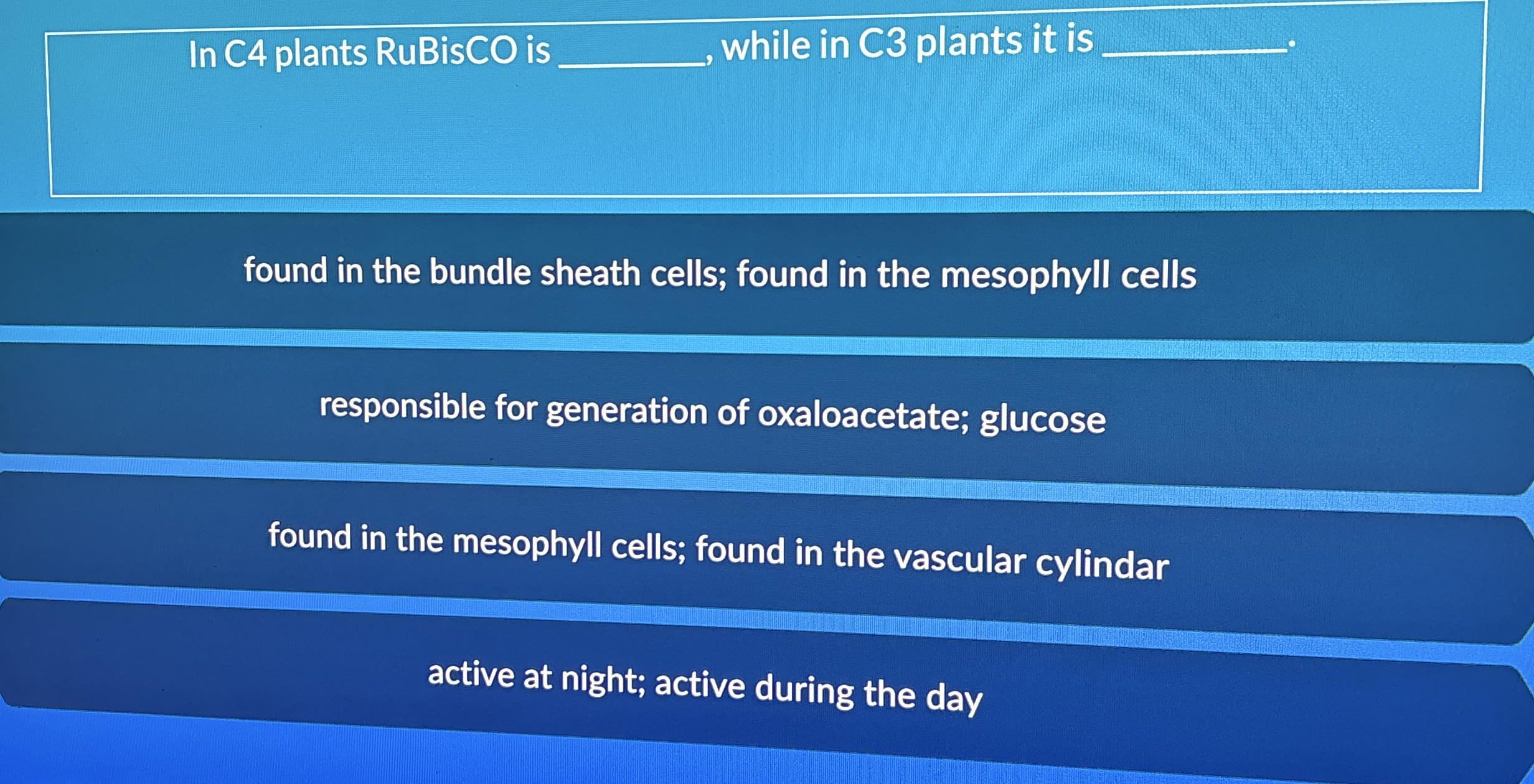 In C 4 plants RuBisCO is q , , while in C 3