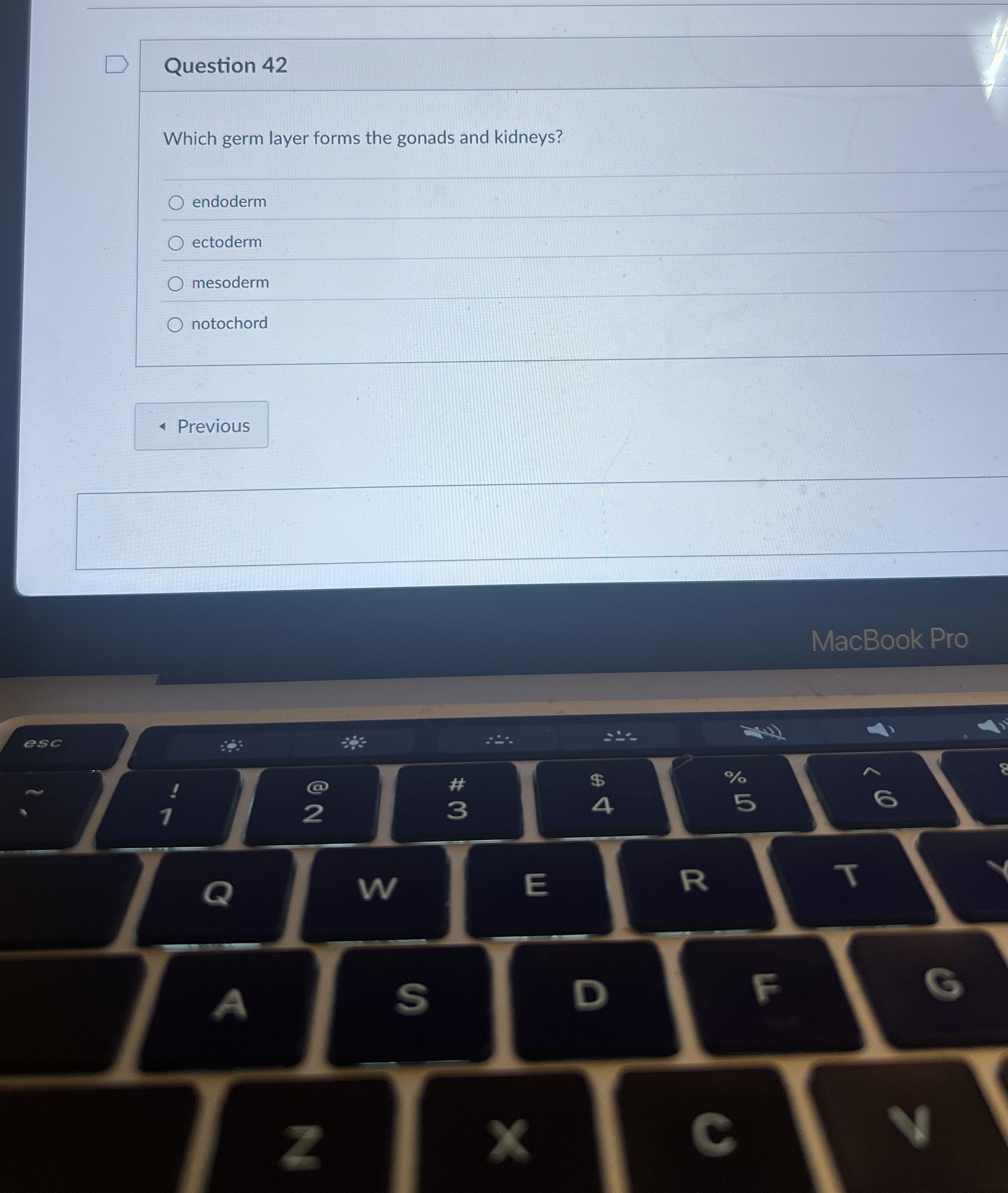 Question 4 2 Which germ layer forms the gonads
