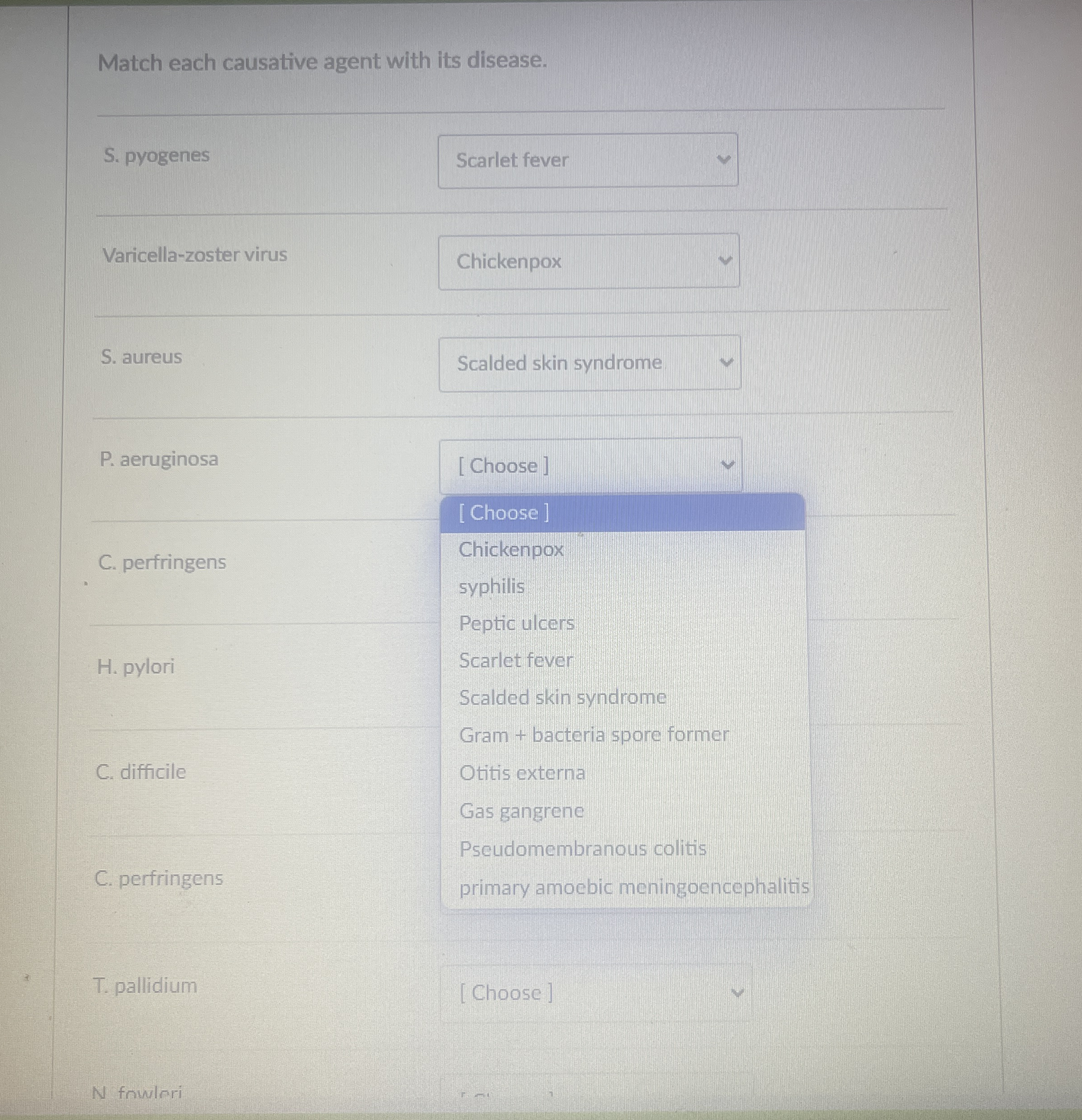 Match each causative agent with its disease. S .