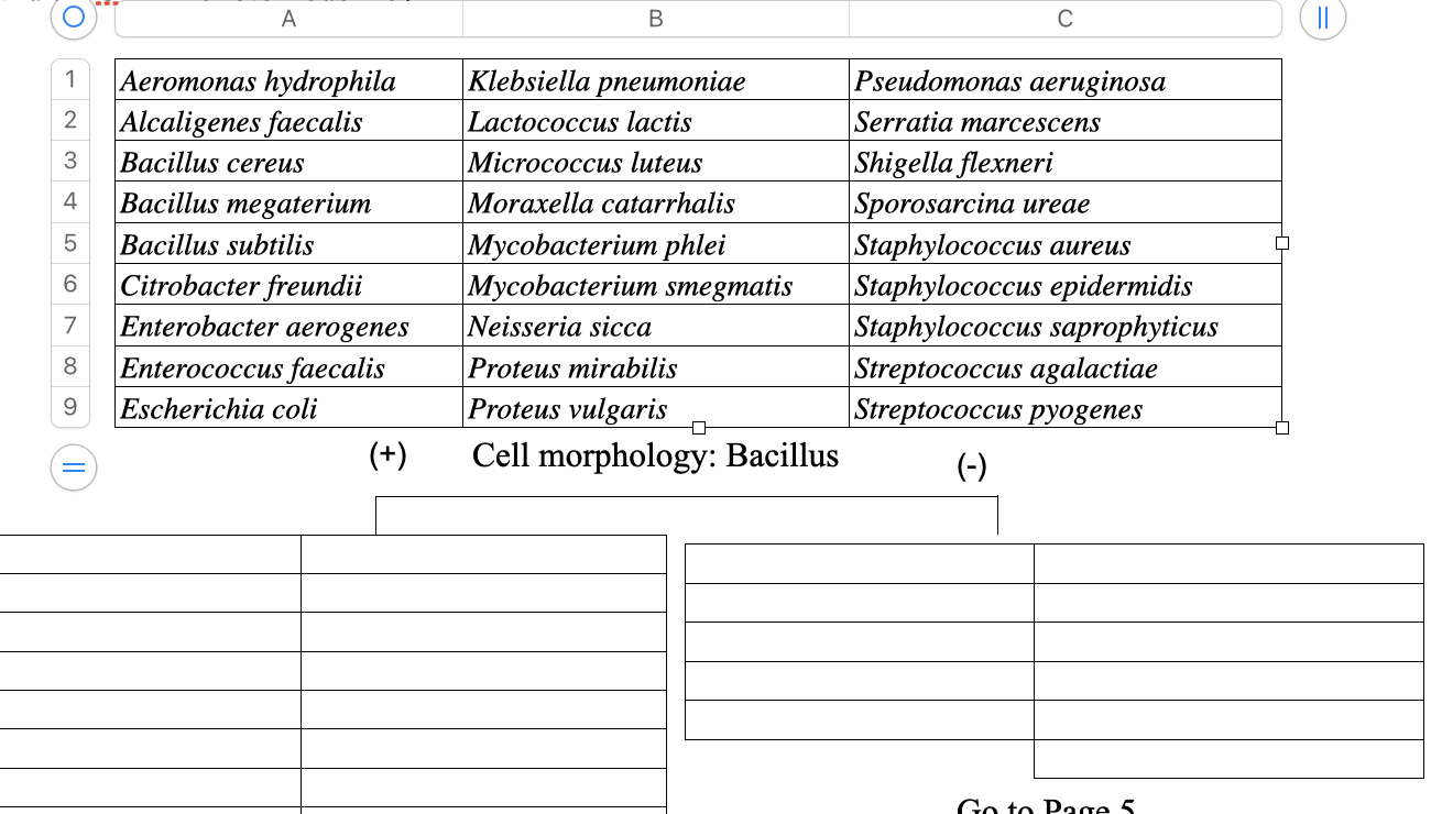 \ begin { tabular } { | l | l | l | } \ hline