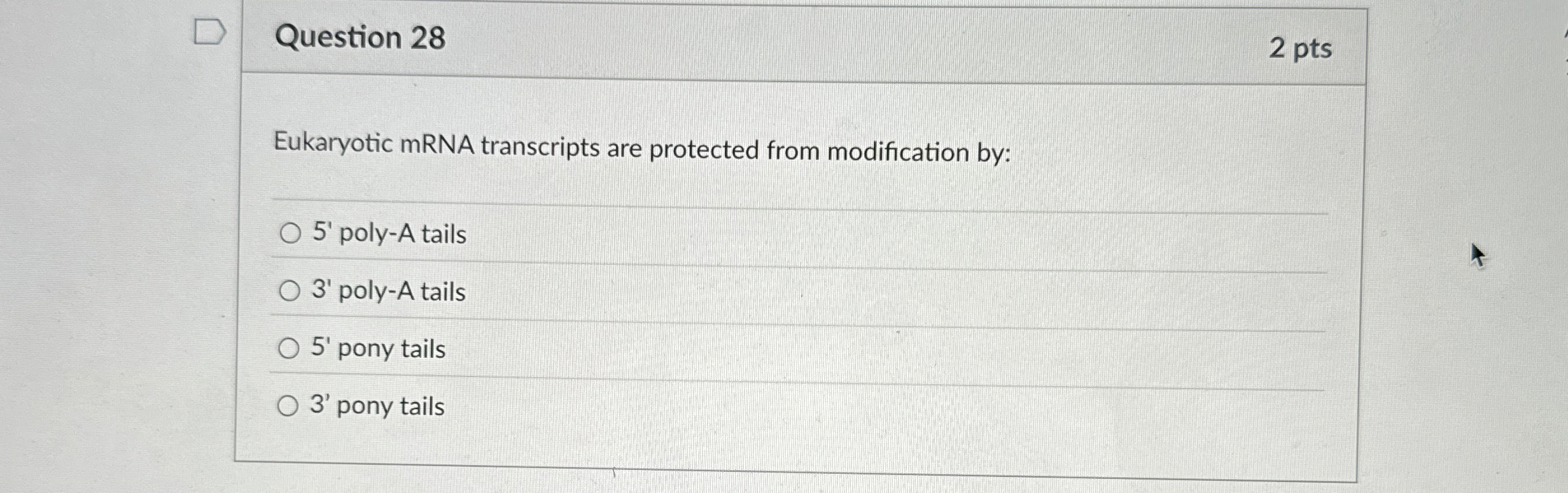 Question 2 8 2 pts Eukaryotic mRNA transcripts