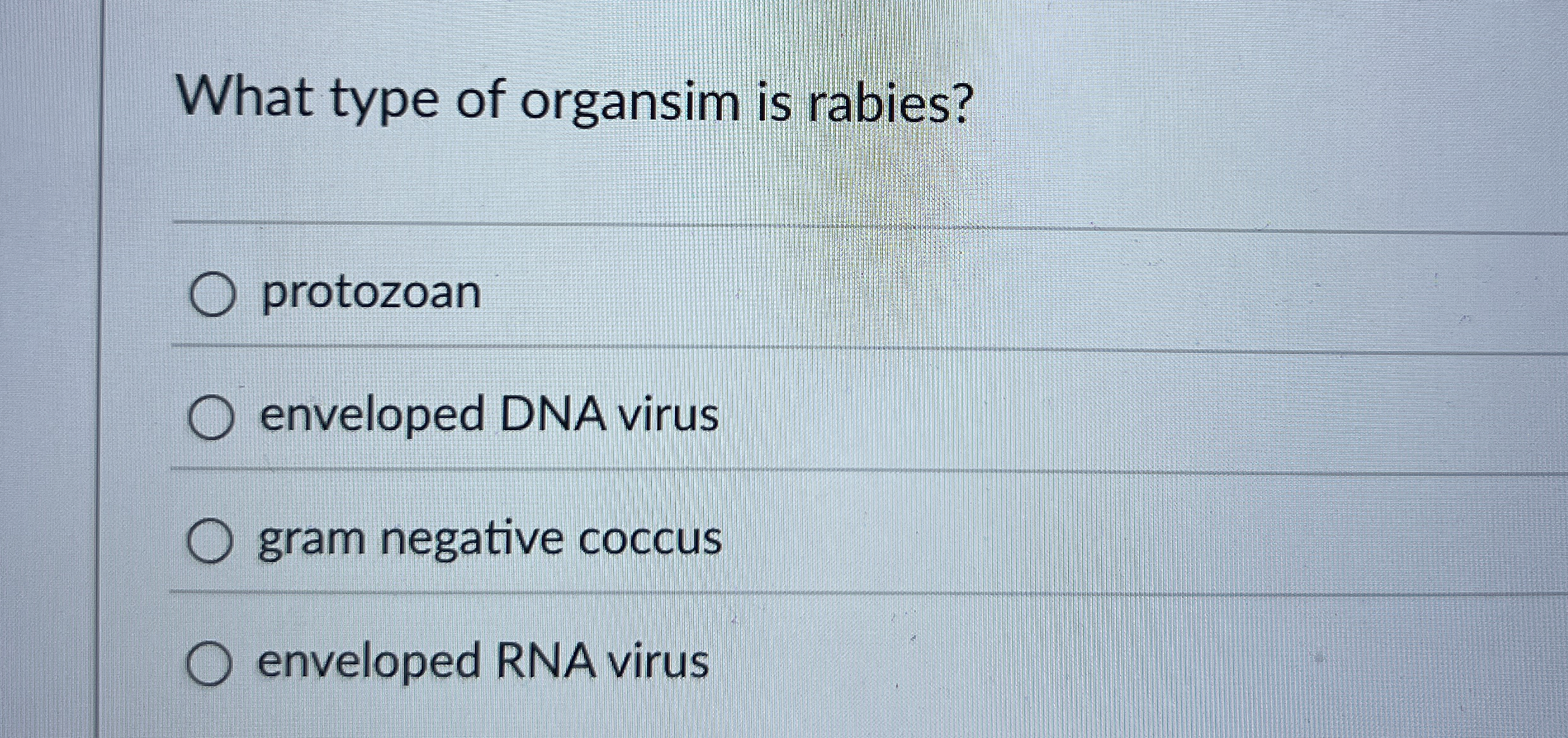 What type of organsim is rabies? protozoan