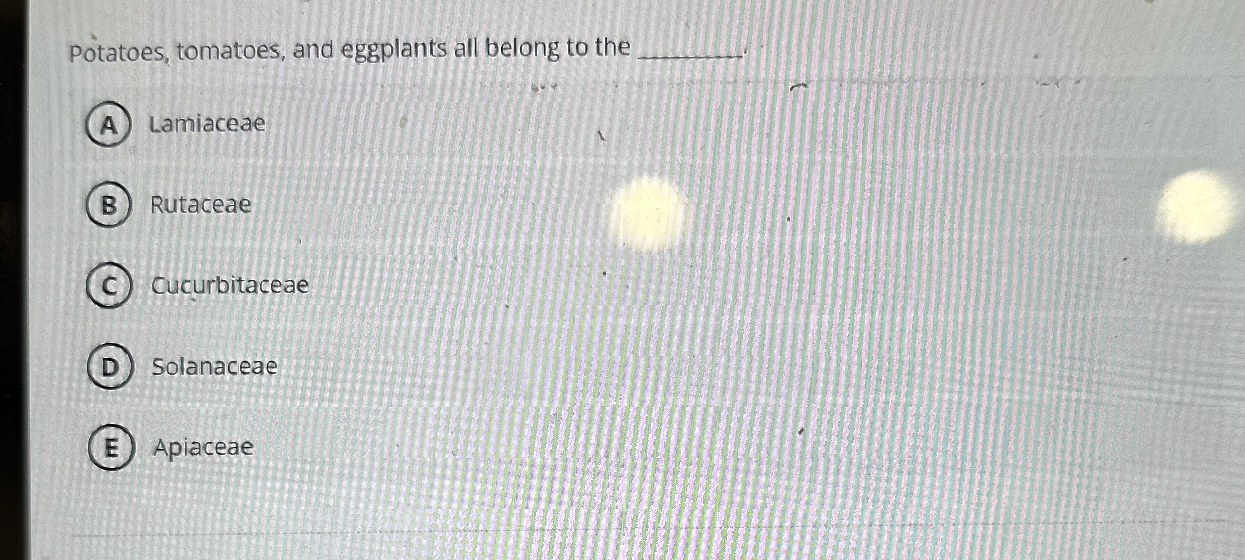 Potatoes, tomatoes, and eggplants all belong to