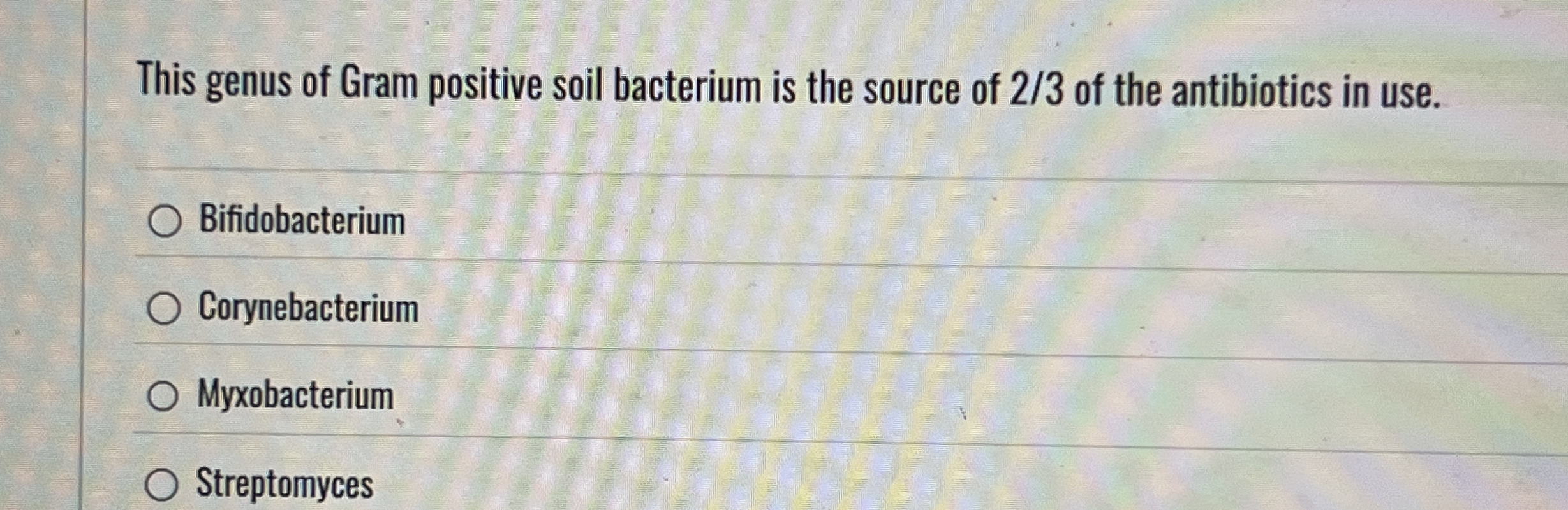 This genus of Gram positive soil bacterium is the