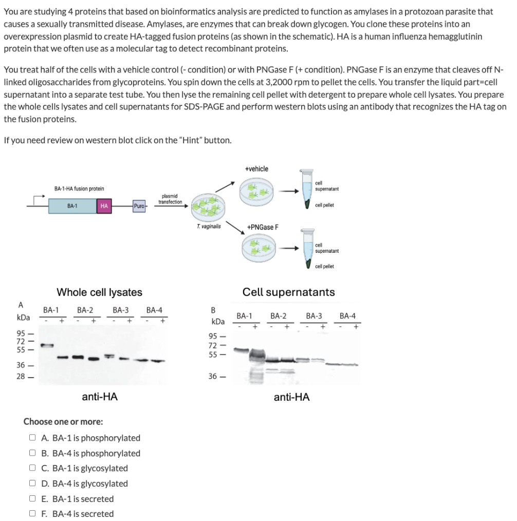 You are studying 4 proteins that based on