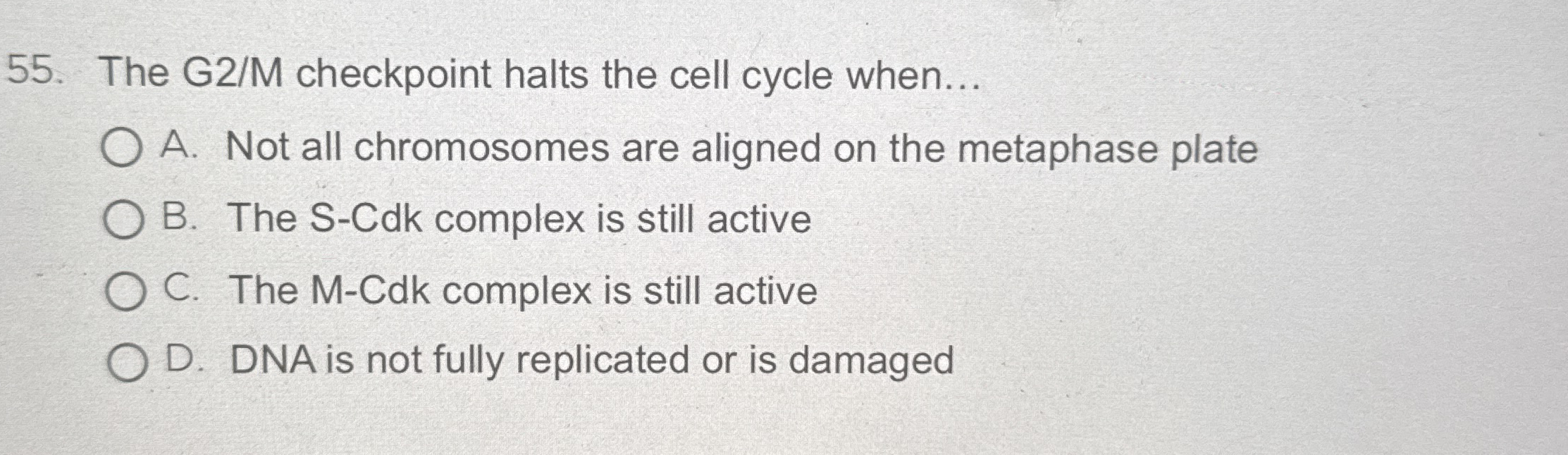 The G 2 / M checkpoint halts the cell cycle