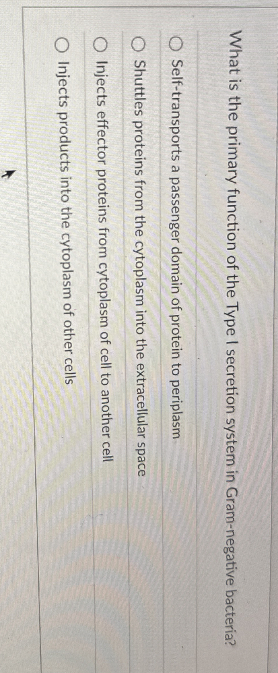 What is the primary function of the Type I