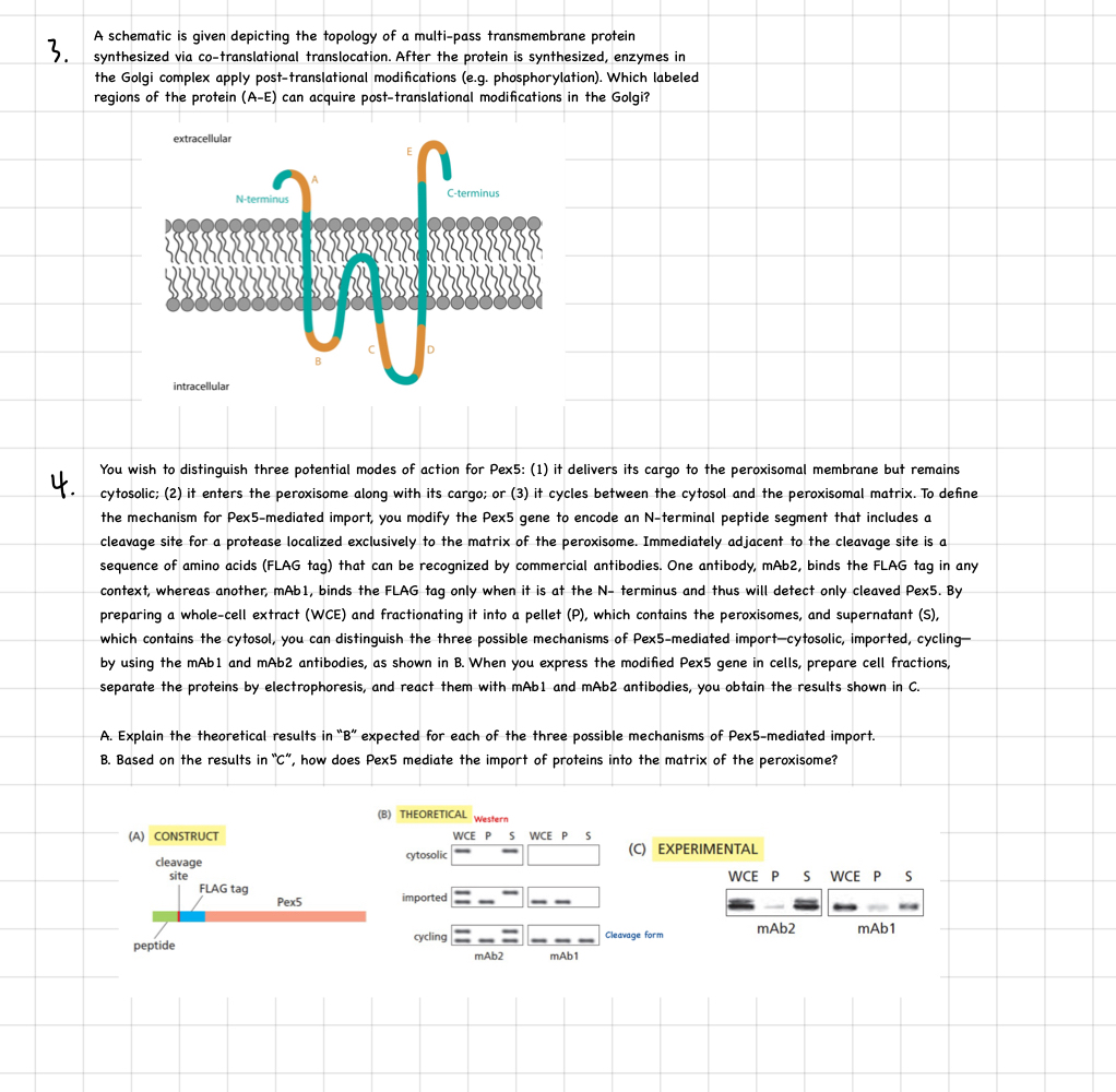 3 , 4 . Answer it with explaination