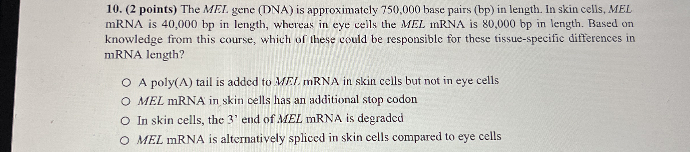 ( 2 points ) The MEL gene ( DNA ) is