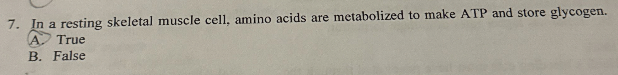 In a resting skeletal muscle cell, amino acids