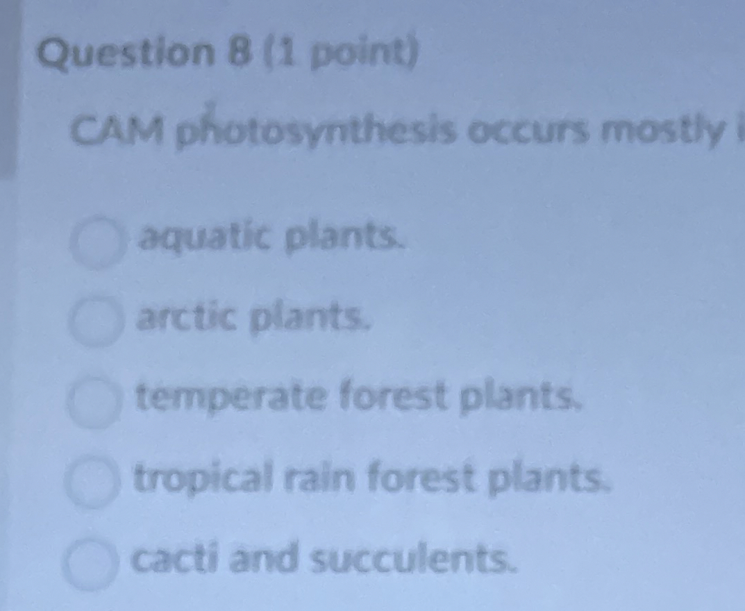 Question 8 ( 1 point ) CAM photosynthesis occurs