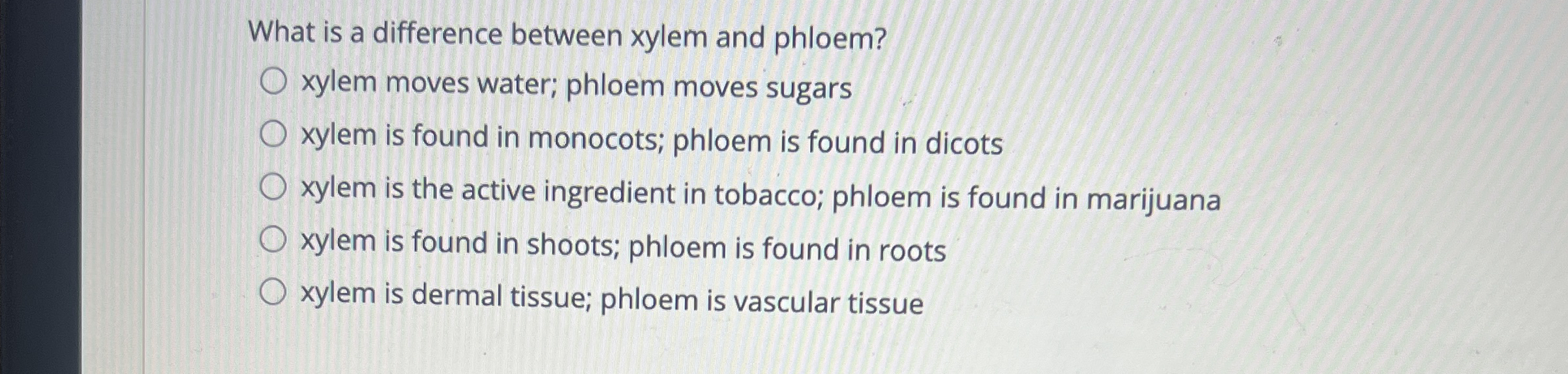 What is a difference between xylem and phloem?