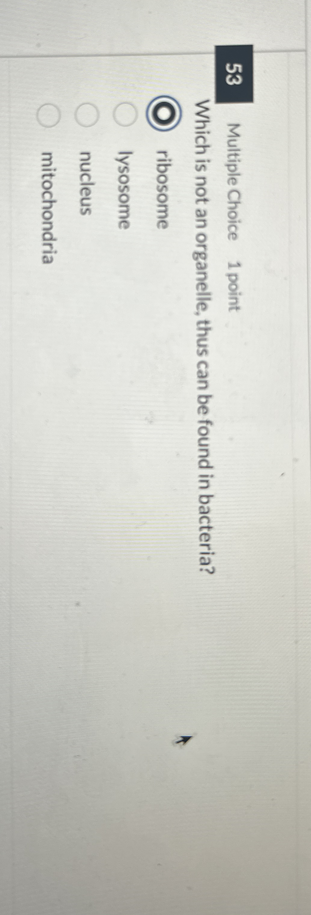 5 3 Multiple Choice 1 point Which is not an