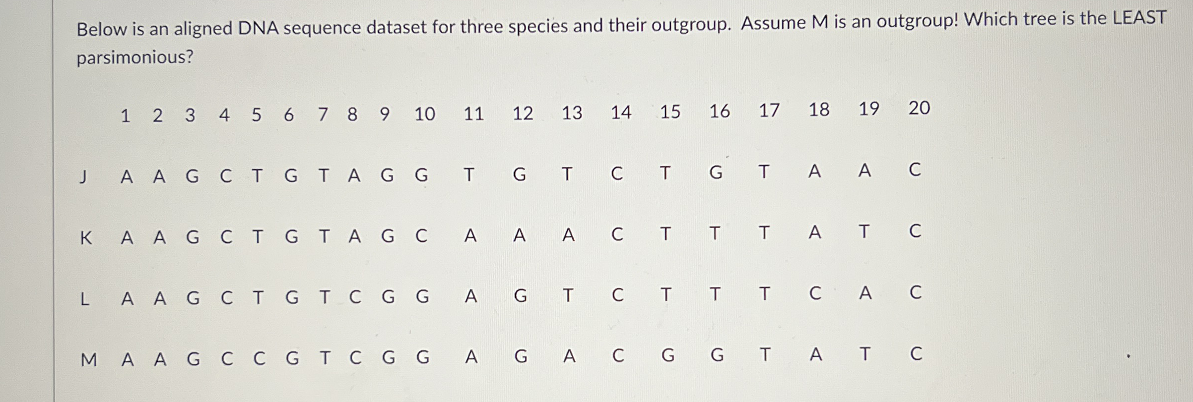 Below is an aligned DNA sequence dataset for