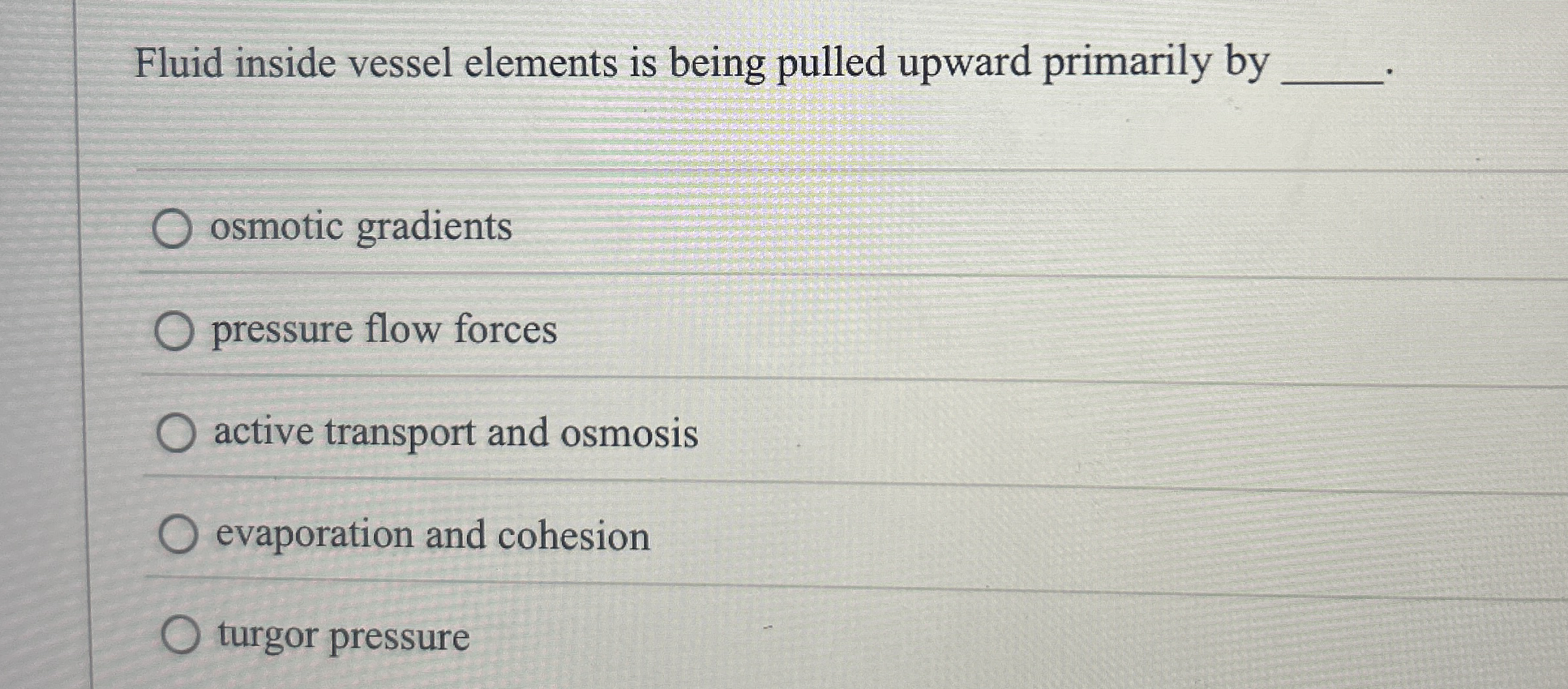 Fluid inside vessel elements is being pulled