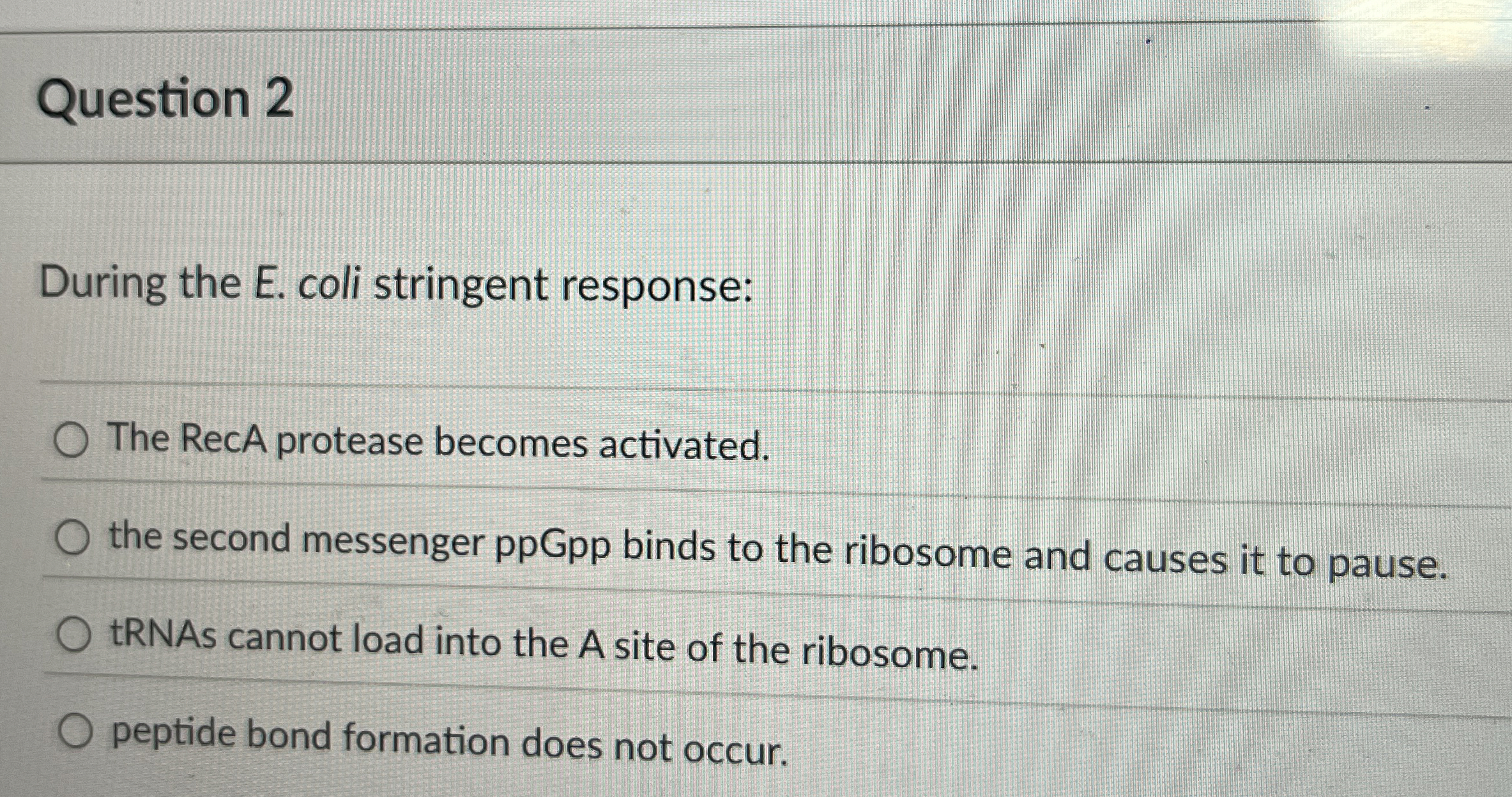 Question 2 During the E . coli stringent