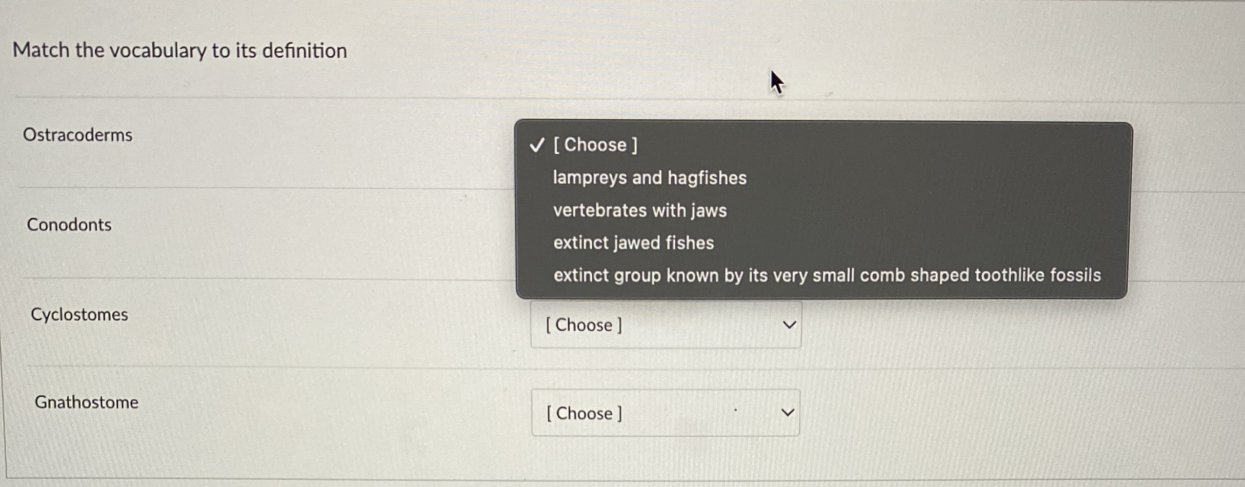 Match the vocabulary to its definition