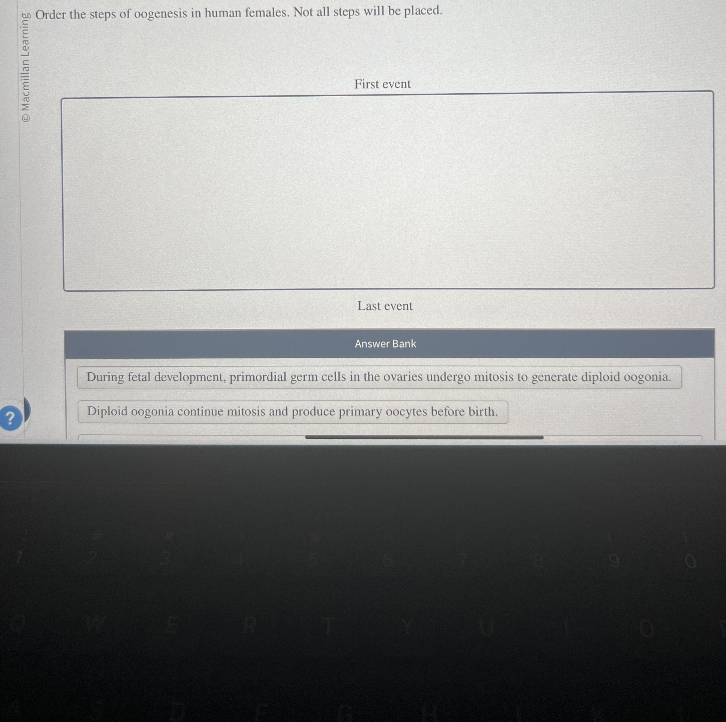 Order the steps of oogenesis in human females.
