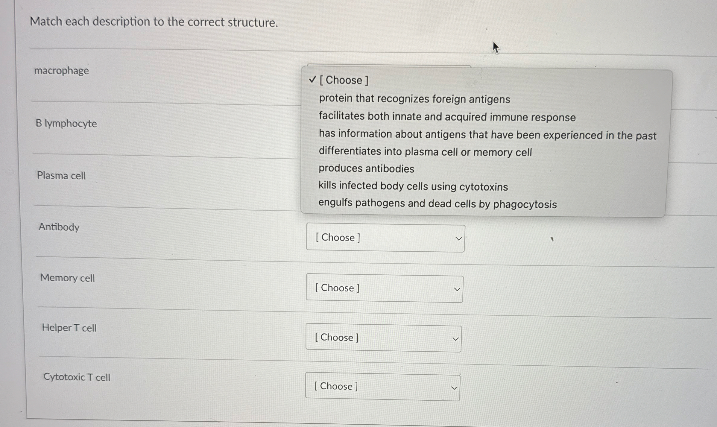 Match each description to the correct structure.